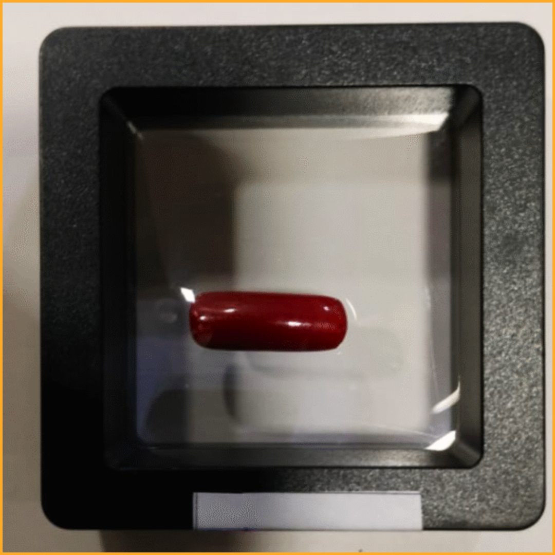 Natural Red Coral – 6.116 Ratti
