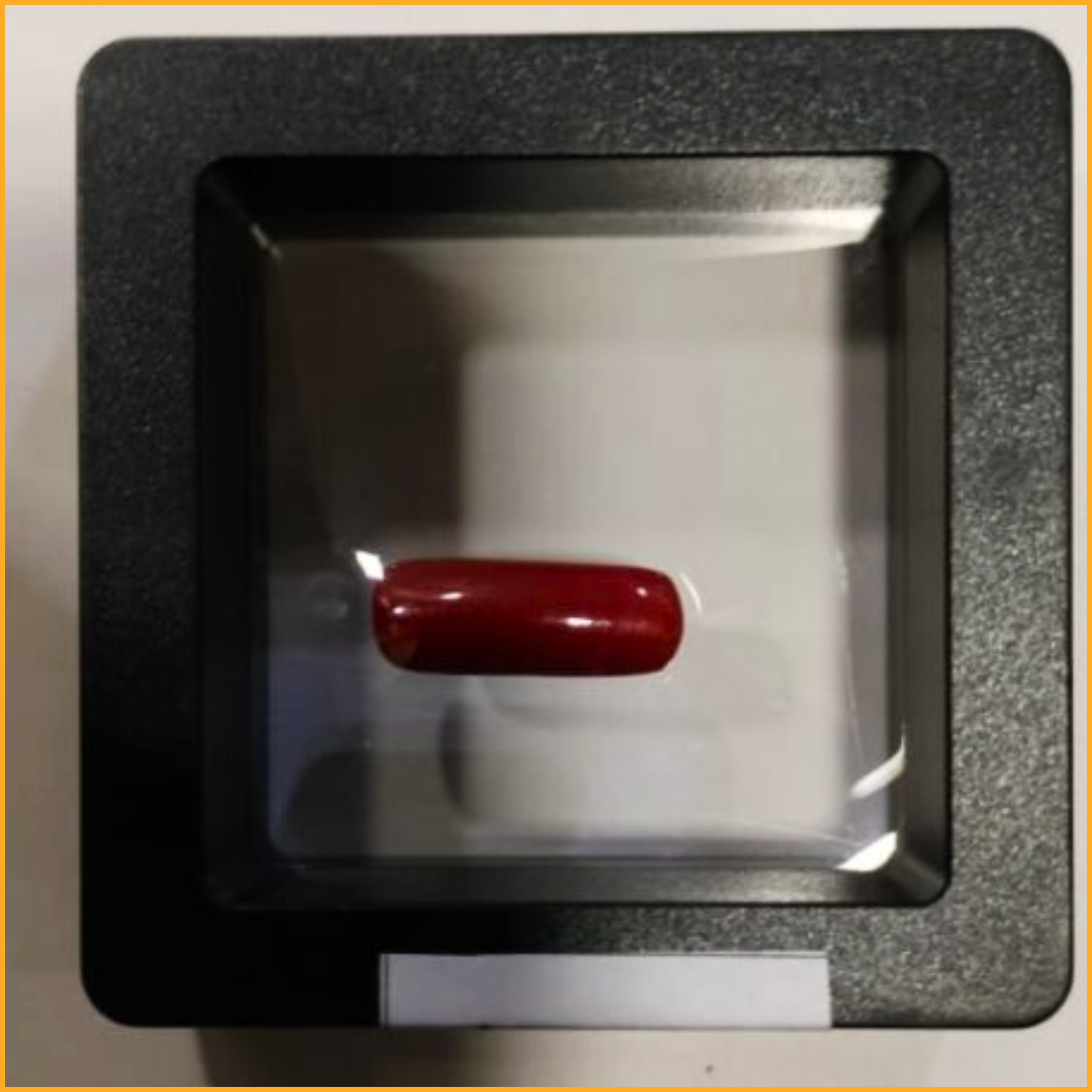 Natural Red Coral – 7.127 Ratti