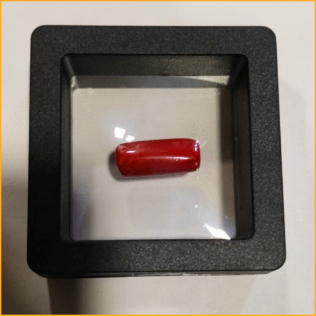 Natural Red Coral Stone – 10.10 Ratti