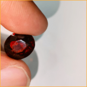 Premium Hessonite (Gomed) – Starting at ₹450 per Ratti