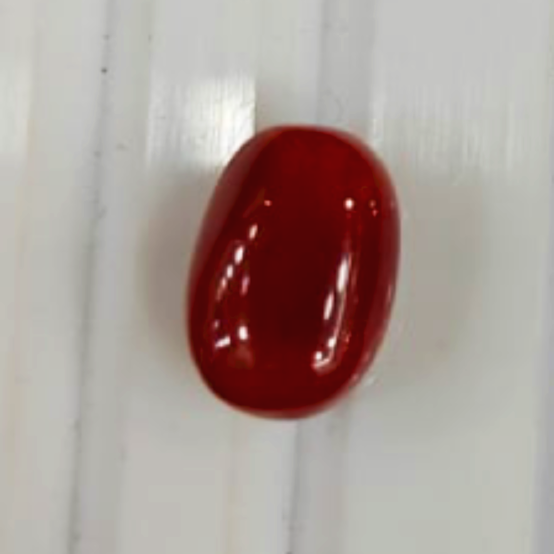 Premium Red Coral Moonga Stone - 1.65g & 9.07 Ratti