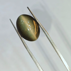 Darshani product editing template (17) Natural Cat’s Eye Stone – 1.35g & 7.42 Ratti