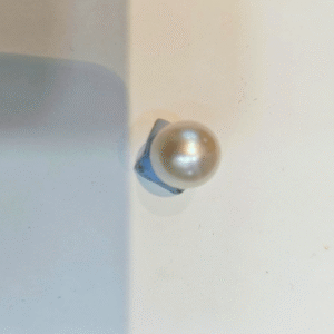 Darshani product editing template (51) Pearl – 1.42g & 7.81 Ratti